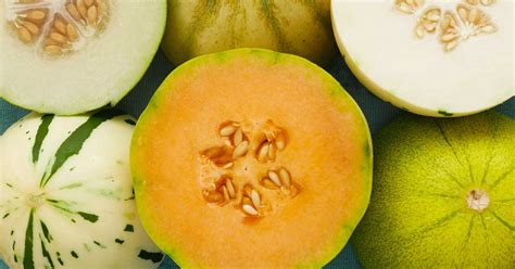 33 of the Best Melon Varieties